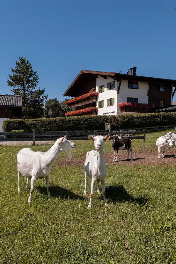Gaestehaus Bramboeck Bad Häring Eksteriør bilde